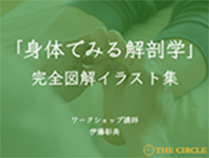 身体で見る解剖学完全図解イラスト集の画像
