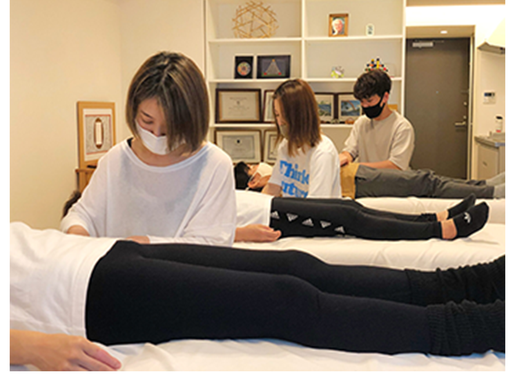 「解剖学＋生理学＋施術」の年間講座の画像